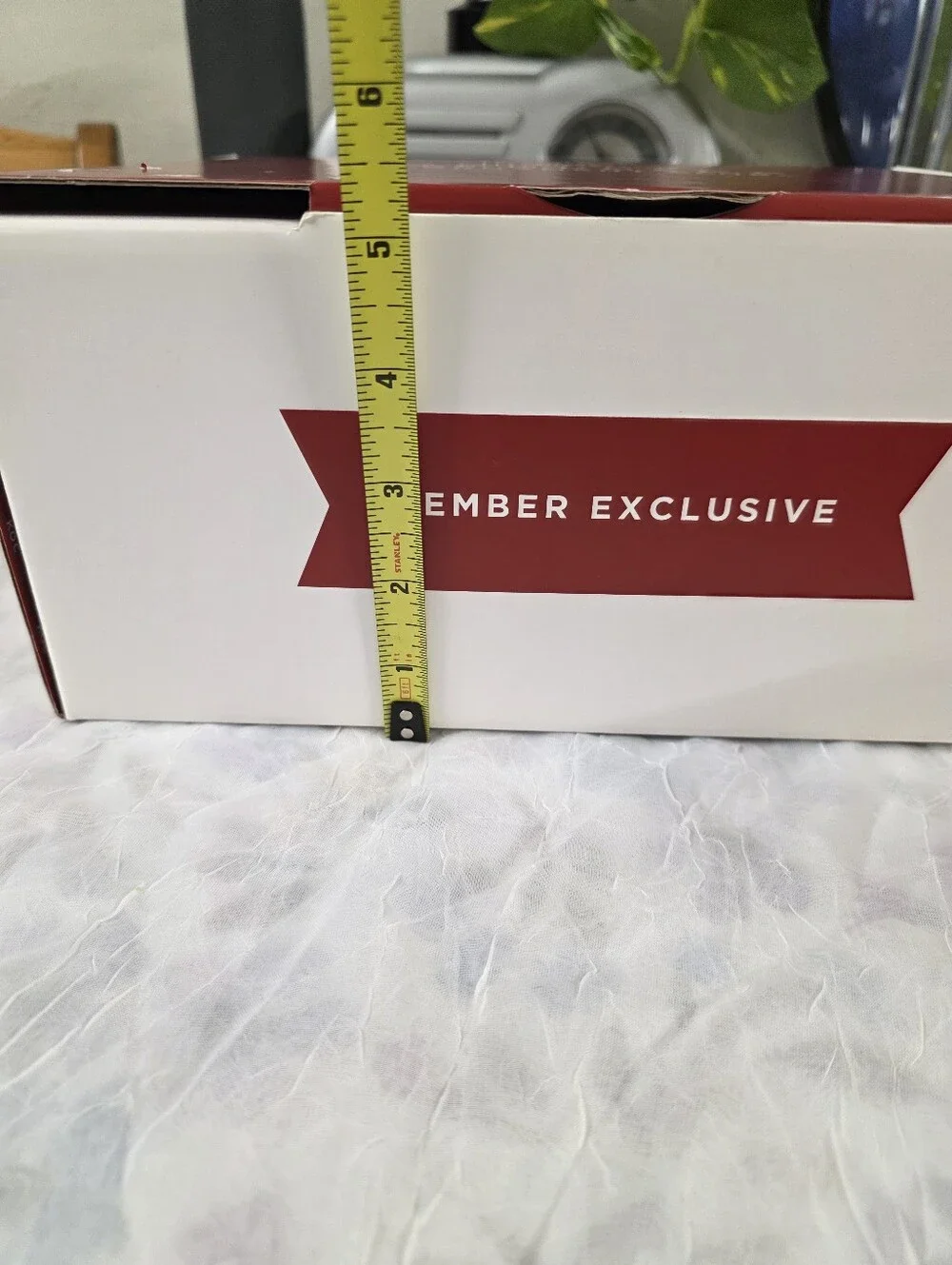 Hallmark 2024 Keepsake Ornament Club Membership Welcome Kit Box w/ Ollie & Lia